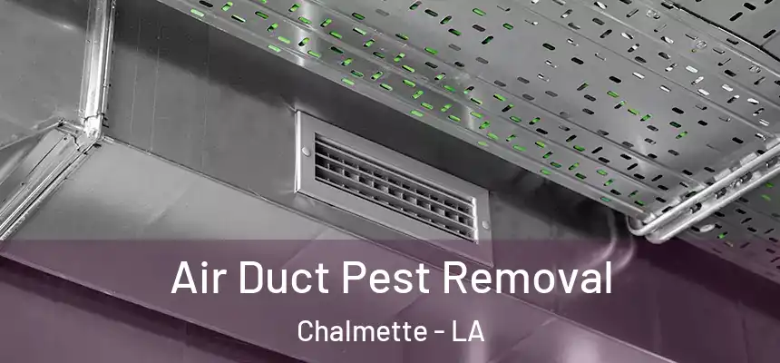  Air Duct Pest Removal Chalmette - LA
