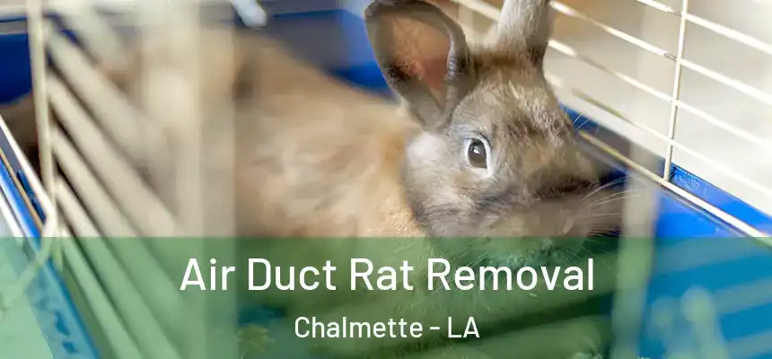  Air Duct Rat Removal Chalmette - LA