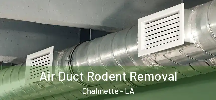  Air Duct Rodent Removal Chalmette - LA