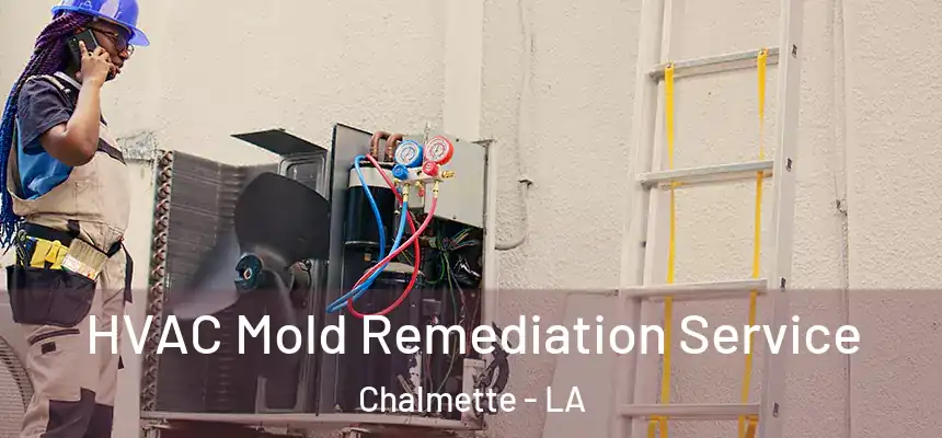  HVAC Mold Remediation Service Chalmette - LA