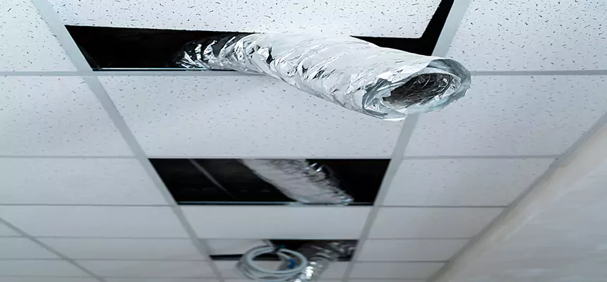 Our Air Duct Pet Hair Removal Services in Chalmette, LA