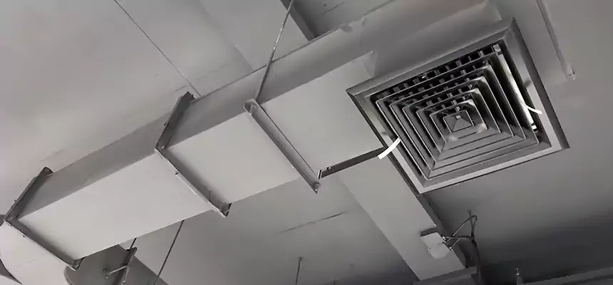 Restorative Allergy Relief Vent Cleaning – Coil, Blower & Housing Detail in Chalmette