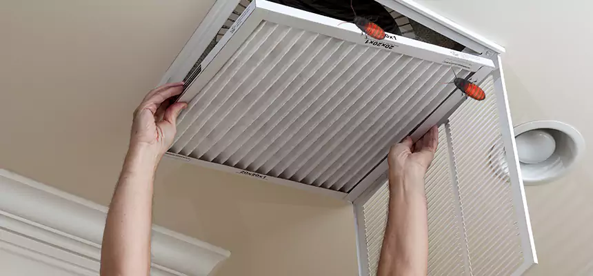 Our Insect Removal from Air Ducts Services in Chalmette, LA