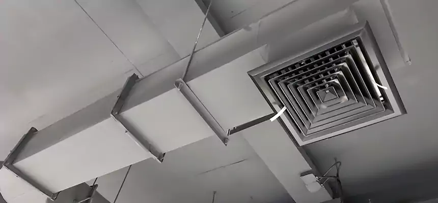 Our Pest Removal From Ducts Services in Chalmette, LA