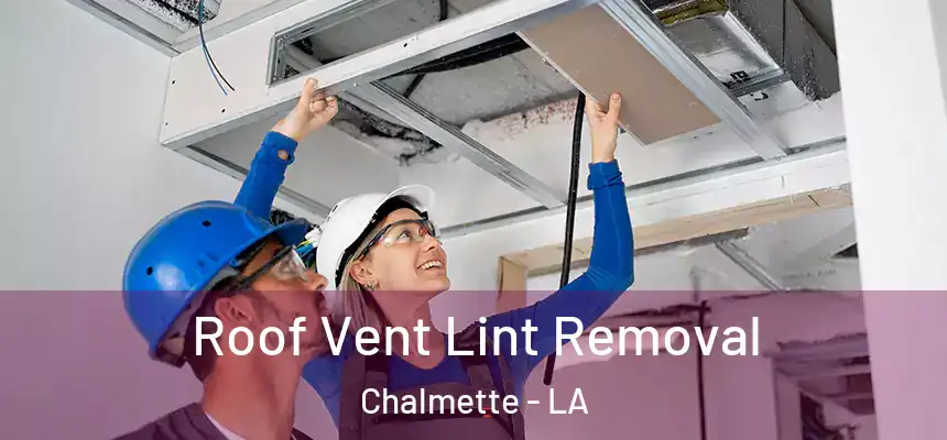  Roof Vent Lint Removal Chalmette - LA