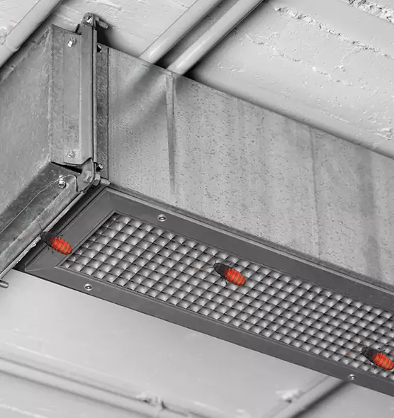About Air Duct Cockroach Removal in Chalmette, LA