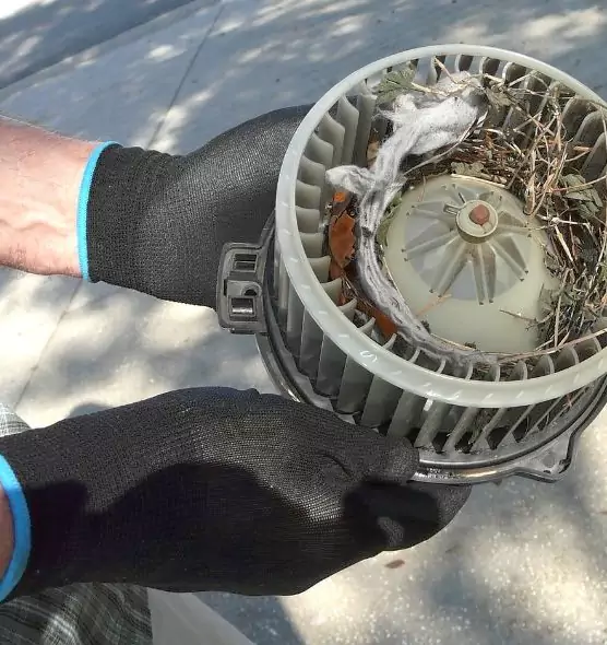 About Air Duct Mice Removal in Chalmette, LA