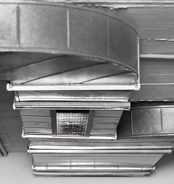 Professional Air Duct Pet Hair Removal in Chalmette, LA