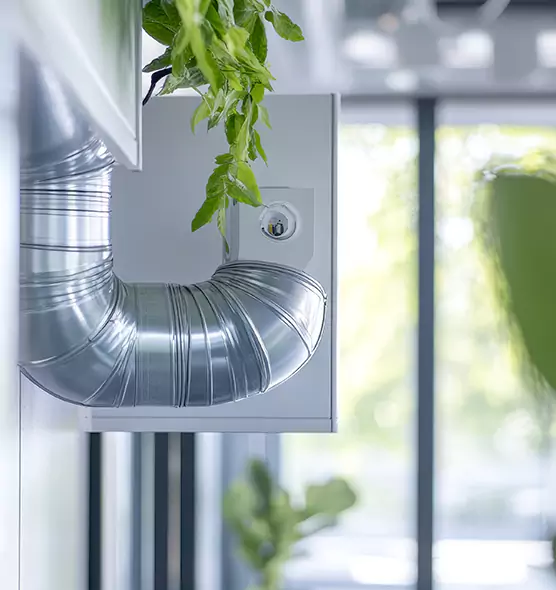 Professional Eco-Safe Dryer Vent Cleaning in Chalmette, LA