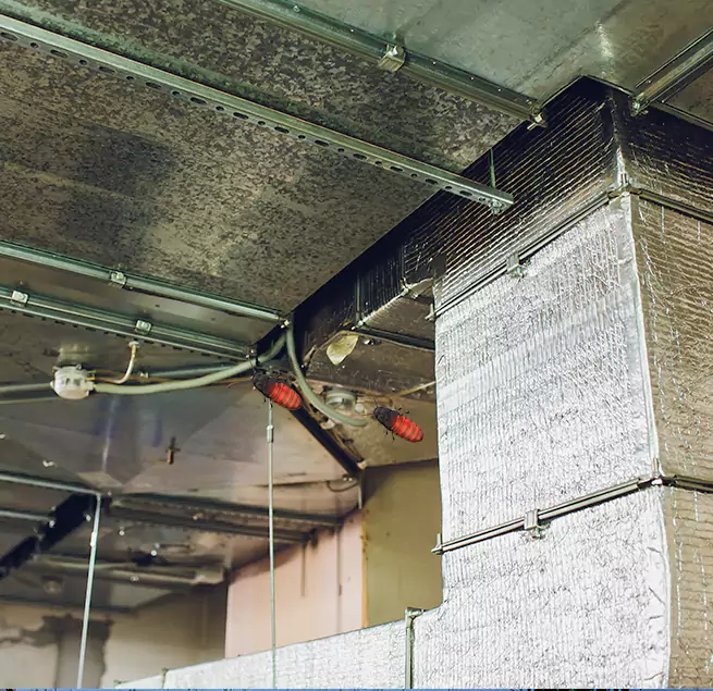 Why Homeowners & Businesses Trust Us in Chalmette, LA?