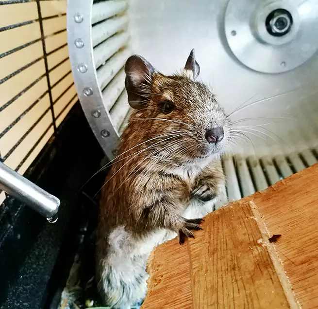 Why Homeowners & Businesses Trust Us Chalmette, LA