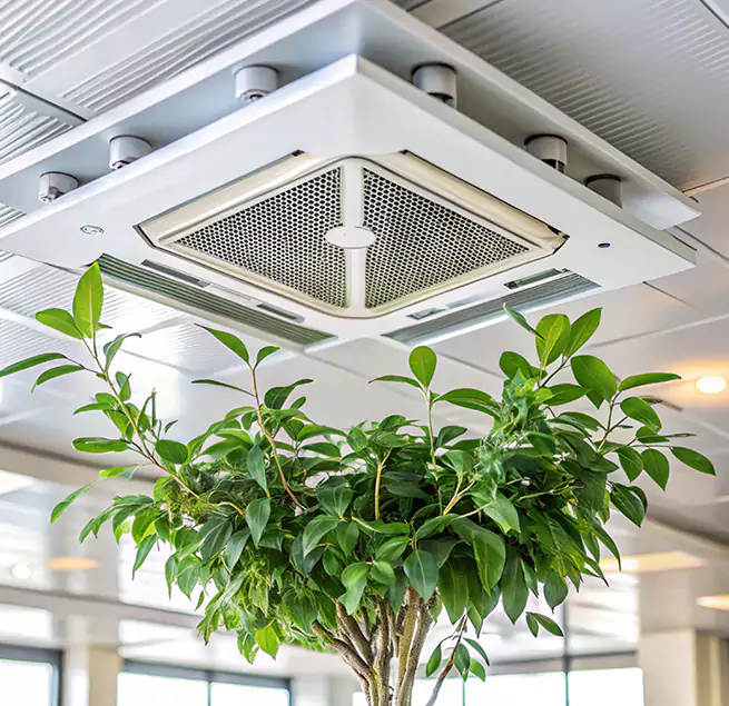 Why Homeowners & Businesses Trust Us in Chalmette, LA